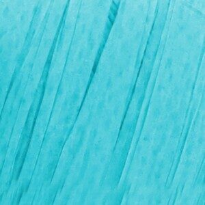 Raffia - 116-29