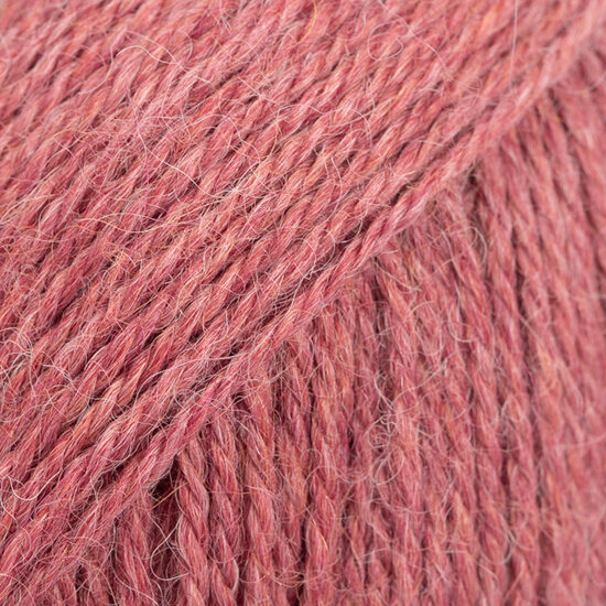 Alpaca - 9024