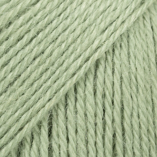 Alpaca - 9038