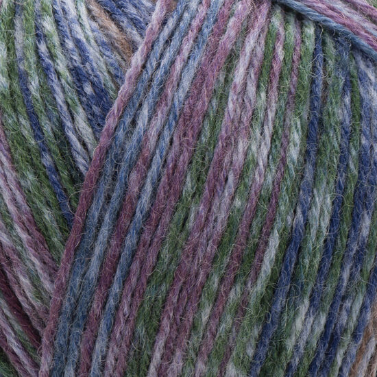 Forza STRIPE - 2801