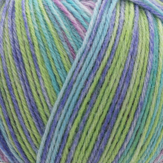 Forza STRIPE - 2804