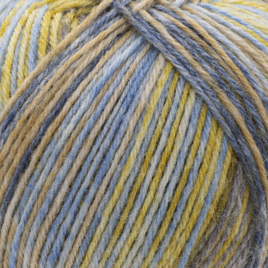 Forza STRIPE - 2807