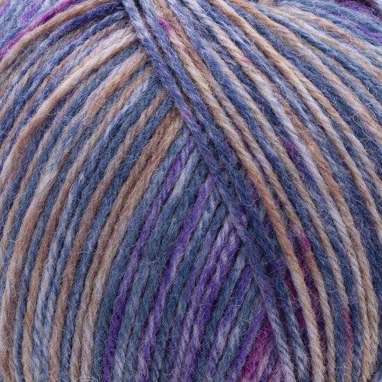 Forza STRIPE - 2809