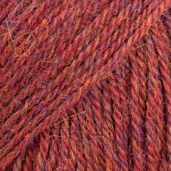 Alpaca - 5565